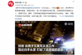 男子诱捕流浪猫卖饭店当兔肉：它们没主人，不犯法图片