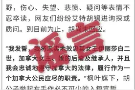网传“胡锡进儿子入籍加拿大”，本人辟谣图片