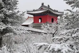 北京百花山5月飞雪：山花与雪景相映成趣视频封面