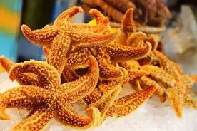 这种海边常见的生物，味道鲜美，你吃过吗？图片
