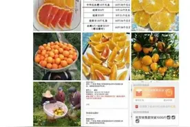 公益活动催生创业念头，浙江学子助力销售恩施农产品图片