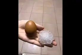 果然视频｜青岛城阳区降下硕大冰雹，最大的接近鸡蛋大！视频封面