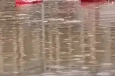 桂林一路人掉入积水深坑，只露出双手挣扎求救…视频太揪心图片