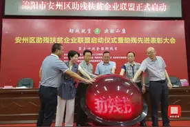 绵阳市安州区成立全市首个助残扶贫企业联盟图片
