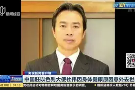 中国驻以色列大使杜伟因身体健康原因意外去世视频封面