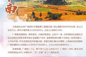 广南：抓产业 稳就业图片