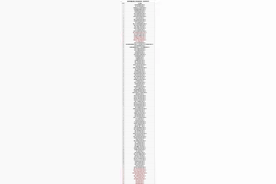 杭州重点拟上市企业最新版名单出炉 绿城管理、农夫山泉等上榜图片