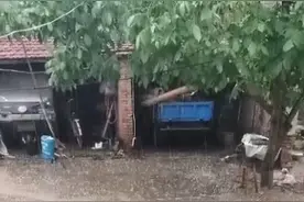 昨天山东多地突降冰雹！鸡蛋大小冰雹图刷屏图片