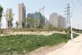 昔日“趴趴房”变身风景线 郑州西干道沿线违建全拆除图片