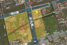 约2.76公顷，商业办公两全！川沙新镇两地块拟挂牌出让→图片