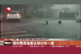 福州：发布暴雨红色预警  局地现冰雹大风天气视频封面