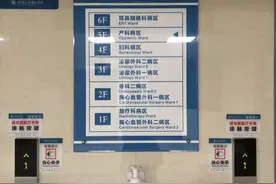 「特写」她割肝救子，才发现28岁儿子非亲生图片