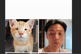 杨丞琳认证李荣浩撞脸单眼皮小猫：长得一模一样图片