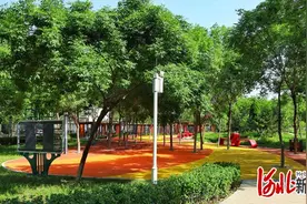 河北保定：“小树林烧烤”变身“时光记忆”公园 5月底完工图片