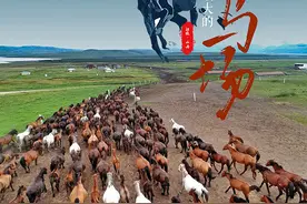 跨越千年 走进亚洲最大的马场图片