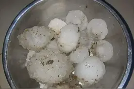 真·刮上天了！下午，山东这处刮起11级狂风！大妈死死抱住街边大树图片