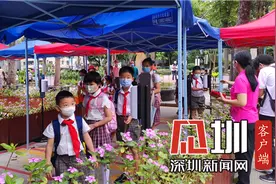 同桌是谁还真忘了 班主任姓什么是秘密！深圳萌娃返校哈哈哈哈哈图片