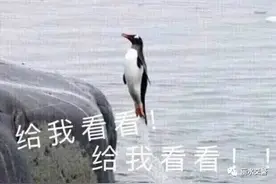 事发浙江丽水，闹市街头极速倒车，比电影还疯狂图片