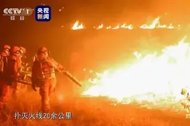 致敬！五位山东籍扑火烈士当选感动中国2019年度人物图片