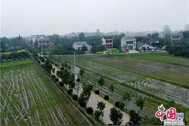 湖南沅江彭健：脚踩黄土地默默奉献 心向诗远方图片