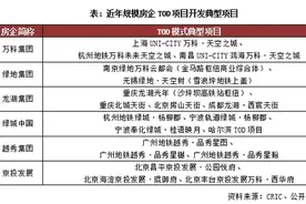 房企TOD项目发展现状及开发模式研究图片