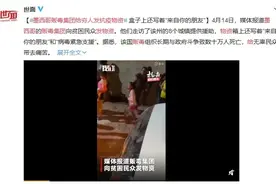 拒领30亿补贴、免收保护费还发钱，从日本到南美，黑帮大佬们集体“从良”了？图片