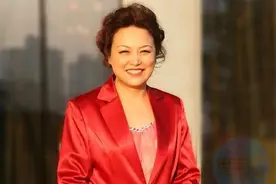 长城汽车王凤英：鼓励小型电动车，按耗电量进行梯级补贴图片