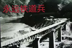 我在营区捅马蜂窝惨遭攻击的故事图片