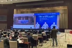 中广核参加武汉市“云招商”央企专场活动图片