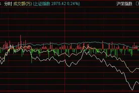 傻眼了！天量巨阴尾盘杀跌、百亿抛盘砸懵散户，说好的国产替代加速升级，怎么进场后就变脸了？图片