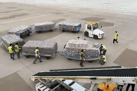 天津航空“客改货“包机运输防疫物资抵达莫斯科图片