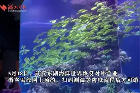 武汉东湖海洋世界恢复开放图片