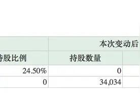 *ST中南3.51亿元易主国资 此前股权两次流拍图片