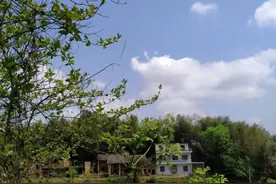 故乡白云意无穷 随风摇曳任西东图片