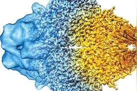 36氪首发 | 将冷冻电镜技术应用于新药发现，「水木未来」获数千万元天使轮投资图片
