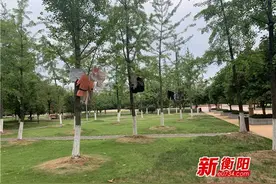 向不文明行为说“不”：太阳广场成“晾晒场”衣物飘飞抢镜图片