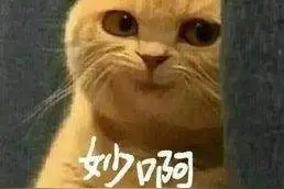 结局极度舒适图片