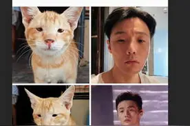 杨丞琳晒李荣浩与猫咪对比图 直呼“长得一模一样”图片
