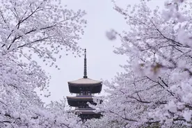 湖北，原来你是这么的美，是时候让大家重新的认识图片