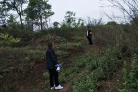 护林员队伍怎么建设？新区出台指导意见——图片