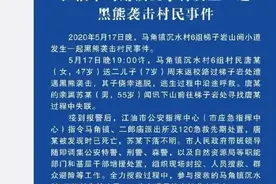 一周两次“熊出没”！荒野求生到底要不要装死？图片