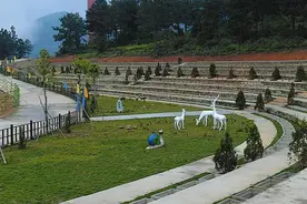 南宁首个公益性公墓正式开园销售︱实行政府定价，低于市场价图片