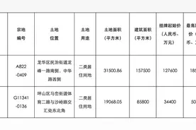 龙华坪山将出让2宗居住用地 房价最高限41600元/平方米图片