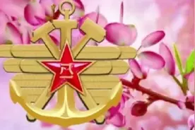 「铁兵记忆」寒夜中的哨兵，我向你们致敬图片