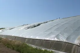 都是大风惹的祸：郓城多个大棚被损坏图片