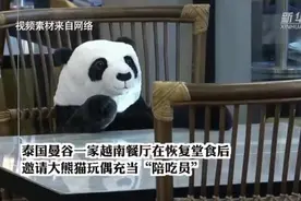 新奇！泰国餐厅放熊猫玩偶提醒顾客保持就餐间距图片