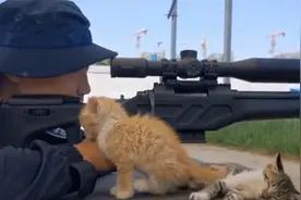流浪小奶猫陪特警哥哥训练 这画面萌化了！网友：铁汉柔情图片