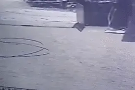 大黄狗追着小孩撕咬，还不止一次惹祸！遇到狗伤人的情况，应该怎么做？图片