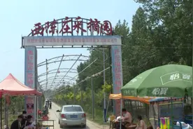 郓城县玉皇庙镇，乡村旅游成为群众增收重要渠道图片