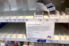 严歌苓在德国：口罩反复用，近4个月才扔掉第二个图片
